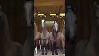 All My SSO Horses.... but make it organised || Star Stable Online