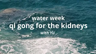 Qi Gong practice for your kidneys & the element of water in Chinese medicine