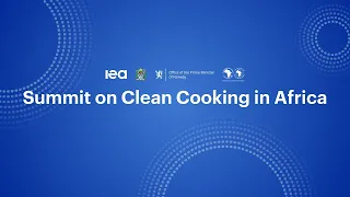 Making Clean Cooking an African Policy Priority