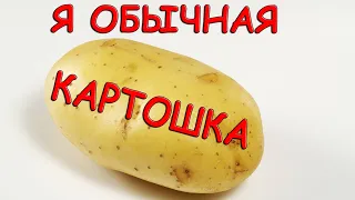 Картошка | ПРИКОЛЫ #14