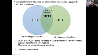 Analysis of Case Study Transcripts: NCGAS Transcriptome Assembly, Annotation, and Analysis Workshop