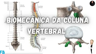 Biomecânica aplicada à clínica: Coluna Vertebral