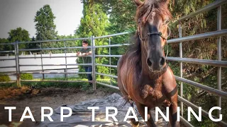 Tarp Training | 2019 Mustang TIP Challenge