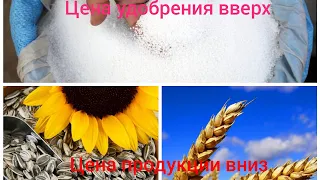 Цена на азотные удобрения упадет? Китай не хочет покупать в Украине пшеницу! -1000грн Подсолнечник !