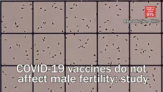 Study shows COVID 19 vaccines do not affect male fertility