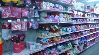 Dollar General Shop w/me| Valentine's Day decor 2024|New finds at Dollar General
