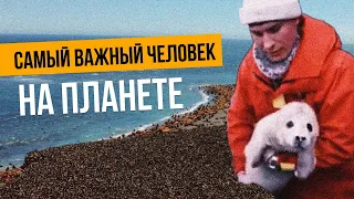Миллионы животных плывут на этот маленький остров в России