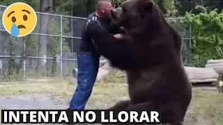 4 Emotivos Reencuentros De Animales Con Sus Dueños😭😭