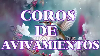 Coros Viejitos Pero Bonitos - Coros Pentecostales - 200 Minutos de coritos pentecostales