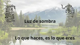 El tercer capitulo ¿Qué deseas ser? Llamas Gemelas