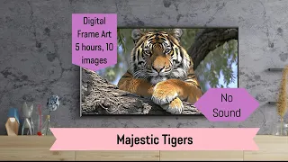Majestic Tigers Digital Frame Art: Silent Visual Masterpiece for Home Decor