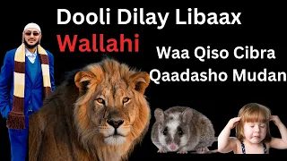 Waliga Ma Maqashay Dooli 🐁 Dilay Libaax 🦁 Wallah Waa Qiso Cibra Qaadasho Mudan: Dr Ahmed Al-Yamani