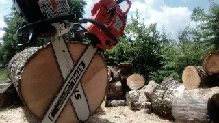 Stihl MS880 & Husqvarna 395xp working 💪💪