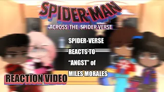 Spiderverse reacts to ANGST of Miles Morales // Into the spiderverse // Gacha React / reaction