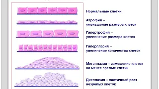 Патофизиология клетки (лектор И.Ю.Малышев)