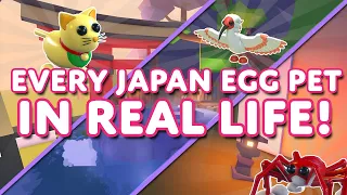 🤓 One INTERESTING FACT About EVERY NEW JAPAN EGG 🥚 PET In Adopt Me! On Roblox! (PETS IN REAL LIFE!)