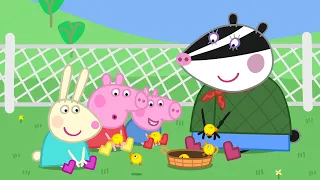 Learning To Look After Chicks With Peppa Pig! | Kids TV And Stories