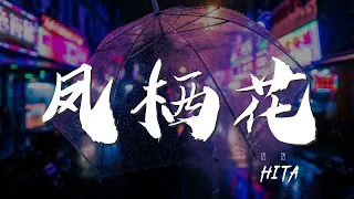 鳳棲花 - HITA『百花釀傾夜燈鸞鳳棲花』【動態歌詞Lyrics】