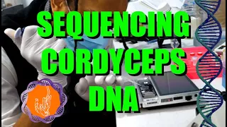 DNA sequencing at Home (CITIZEN SCIENCE NANOPORE SEQUENCING HOME LAB)  Cordyceps militaris genome