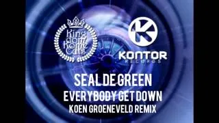 SEAL DE GREEN - EVERYBODY GET DOWN  (PROMO MINIMIX).wmv