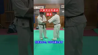 【大東流】相手を担いで投げる技　腰車！！#aikido ＃karate #martial #合気道 #武道 #空手