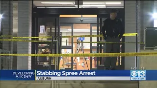 Suspect Arrested After Stabbing Spree