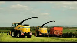 Silaging with TWO Choppers - New Holland Fr 920 is Joined by FR 650 in the Same Field!