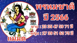 พรหมชาติ 2566 เรือนที่ 11 ถ้าตก "แม่มด" จะเป็นอย่างไรบ้าง?