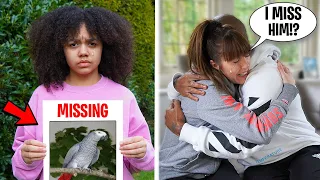 WE LOST OUR PET PARROT!! (Parrot Flew Away!) 💔 *Emotional*