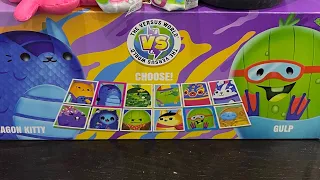 Cats vs Pickles Mystery Box of goodies jumbos blind bags unboxing Dogs vs Squirrls Kittens Gherkins