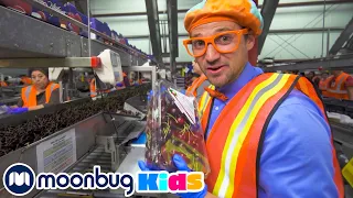 Blippi Visits a Cherry Farm - Blippi | Kids Cartoons & Nursery Rhymes | Moonbug Kids