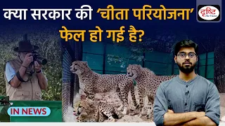 Explained: Has Project Cheetah Failed? Critical Analysis | InNews | Drishti IAS