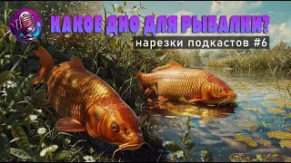 Какое дно выбрать для ловли карпа? / нарезка @Fishing-Podcast  #6