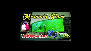 Mermaid Show di Ocean Dream Samudra Ancol bersama Lutfi