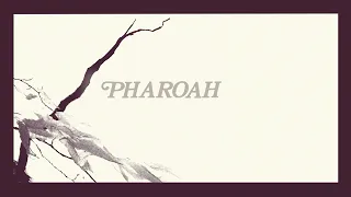 Introducing Pharoah, Pharoah Sanders’ seminal album from 1977