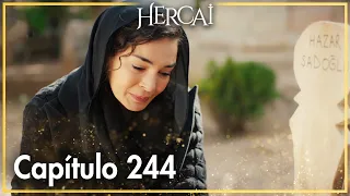 Hercai - Capítulo 244