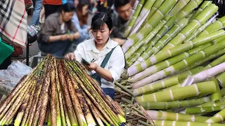 Sold 1500 catties of small bamboo shoots in 5 hours! Wild small bamboo shoots quack crisp quack daz