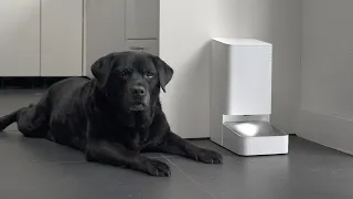 This Pet Food Feeder is SMART! (and from Xiaomi)