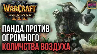 ПАНДАРЕН ПРОТИВ КУЧИ ВОЗДУХА: Warcraft 3 Reforged