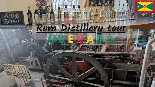 Tour of Rum Distillery + food at Wall Street in Grenada 🇬🇩