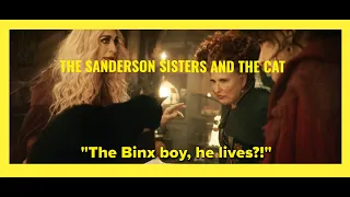 Hocus Pocus 2: The Sanderson Sisters mistake Cobweb cat for Thackery Binx (Scene clip). #hocuspocus2
