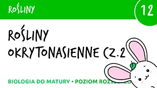 Okrytonasienne część 2 - Rośliny 12 - matura liceum biologia rozszerzona