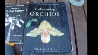 Must-Have! Orchid Books: Beginner-Advanced