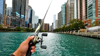 URBAN River Bass Fishing in Downtown Chicago!! *RARE CATCH*