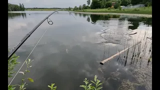 ВОБЛЕР затащил РЫБАЛКУ! Ловля ЩУКИ на ВОБЛЕРЫ! Ловля ОКУНЯ на МИКРОДЖИГ!