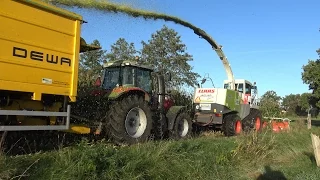 Mais hakselen & inkuilen 2015 bij Mts Hekman - Reimink Den Ham