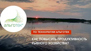 Как повысить продуктивность рыбного хозяйства? Рыбхоз "САДОВСКИЙ"! Технология АЛЬГОТЕК!