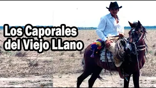 Los Caporales del Viejo Llano