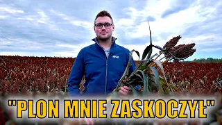 Rolnik zasiał na piachu sorgo zamiast żyta i wyszedł na tym rewelacyjnie! Jaki osiągnął plon?