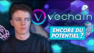 VECHAIN : LA BLOCKCHAIN QUI RÉVOLUTIONNE LA LOGISTIQUE ?! (VET) -Yrile